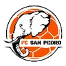 Logo San-Pédro