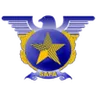 Logo Safa