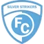 Logo Silver Strikers