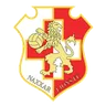Logo Naxxar Lions