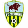 Logo Zimbru