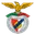 Logo Benfica Castelo Branco