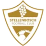 Logo Stellenbosch
