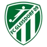 Logo Gleisdorf 09