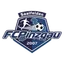 Logo Pinzgau Saalfelden