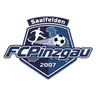 Logo Pinzgau Saalfelden