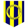 Logo Tiszafuredi VSE