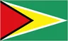 Logo Guyana