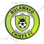 Logo Bulawayo Chiefs