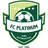 Logo Platinum