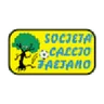Logo Faetano