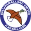 Logo Ballinamallard United