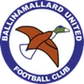 Logo Ballinamallard United