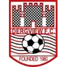 Logo Dergview