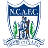 Logo Newry City AFC