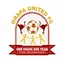 Logo Orapa United