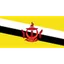 Logo Đội tuyển Brunei