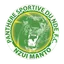 Logo Panthère