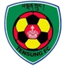 Logo Tensung
