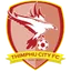 Logo Thimphu City