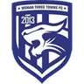 Logo Wuhan Three Towns
