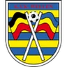 Logo Wellen