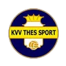 Logo Thes Sport