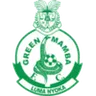 Logo Green Mamba