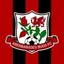 Logo Aberbargoed Buds