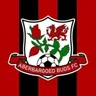 Logo Aberbargoed Buds