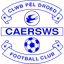 Logo Caersws