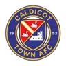 Logo Caldicot Town