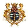 Logo Dolgellau Athletic