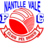 Logo Dyffryn Nantlle Vale