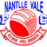 Logo Dyffryn Nantlle Vale