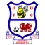 Logo Holyhead Hotspur