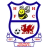 Logo Holyhead Hotspur