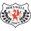 Logo Holywell