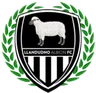 Logo Llandudno Albion