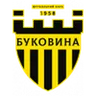 Logo Bukovyna