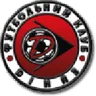 Logo Dinaz Vyshhorod