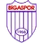 Logo Bigaspor