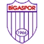 Logo Bigaspor