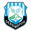 Logo Dersimspor