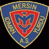 Logo Yeni Mersin Idmanyurdu
