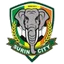 Logo Surin