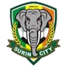 Logo Surin