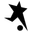 Logo Black Stars
