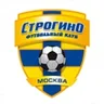 Logo Strogino