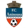 Logo Pucioasa